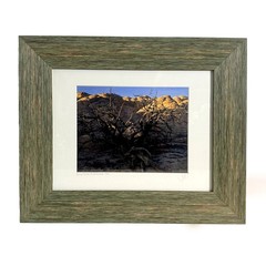 2002 Jim Witkowski 8×10 Color Photograph “Burnt Pinion at White Knolls” Arizona