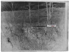 Glass Plate Vintage Photo Negative Black and White 9×12 cm Plane Crash France