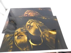 2015 Amateur Photography Vivid & Gold Gelatin Sheen Art School Project 20″ x 30″