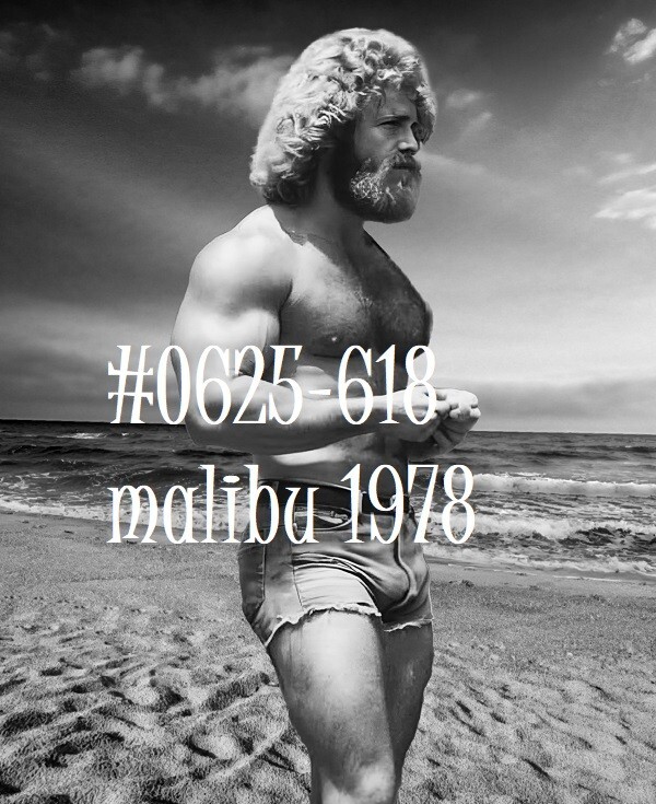VINTAGE MALE PORTRAIT #0625-618 -malibu 1978 – free shipping in usa