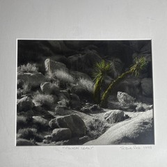 Steve Rich ‘Photon Lean’ Signed Framed Black & White Landscape Photograph Art