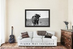 Buffalo Photography Print – Black and White Picture of Bison in Oklahoma