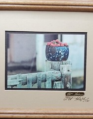 Art Gore Signed & Numbered Framed East Meets West 1971 Strawberry On The Fence