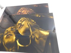 2015 Amateur Photography Vivid & Gold Gelatin Sheen Art School Project 20″ x 30″