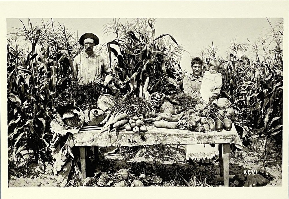 Wisconsin – Menominee River Boom Co. Garden 1895 Fotofolio Art Print Card 4”x6”
