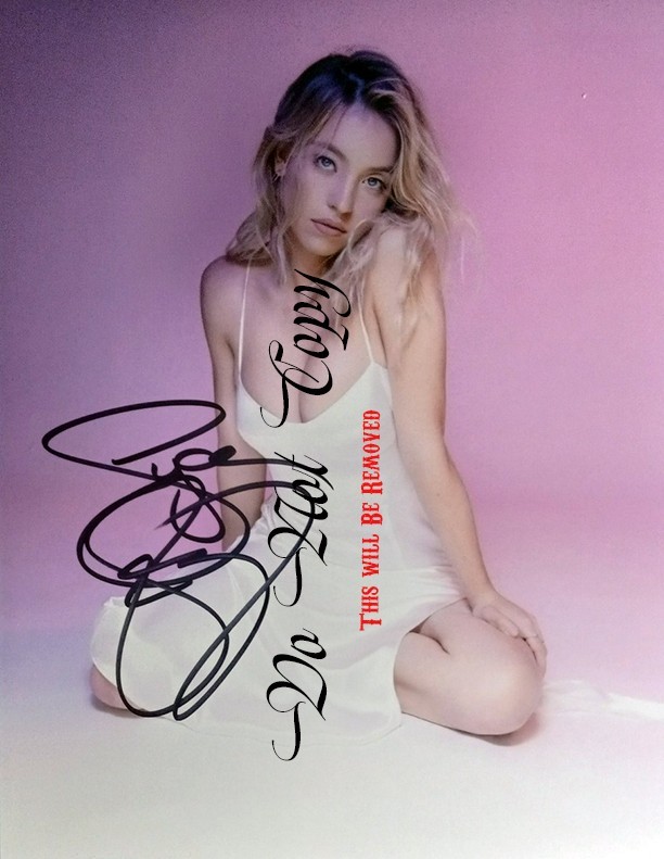 Sydney Sweeney Framed Autographed/Signed Photo REPRINTS 8.5″X11″