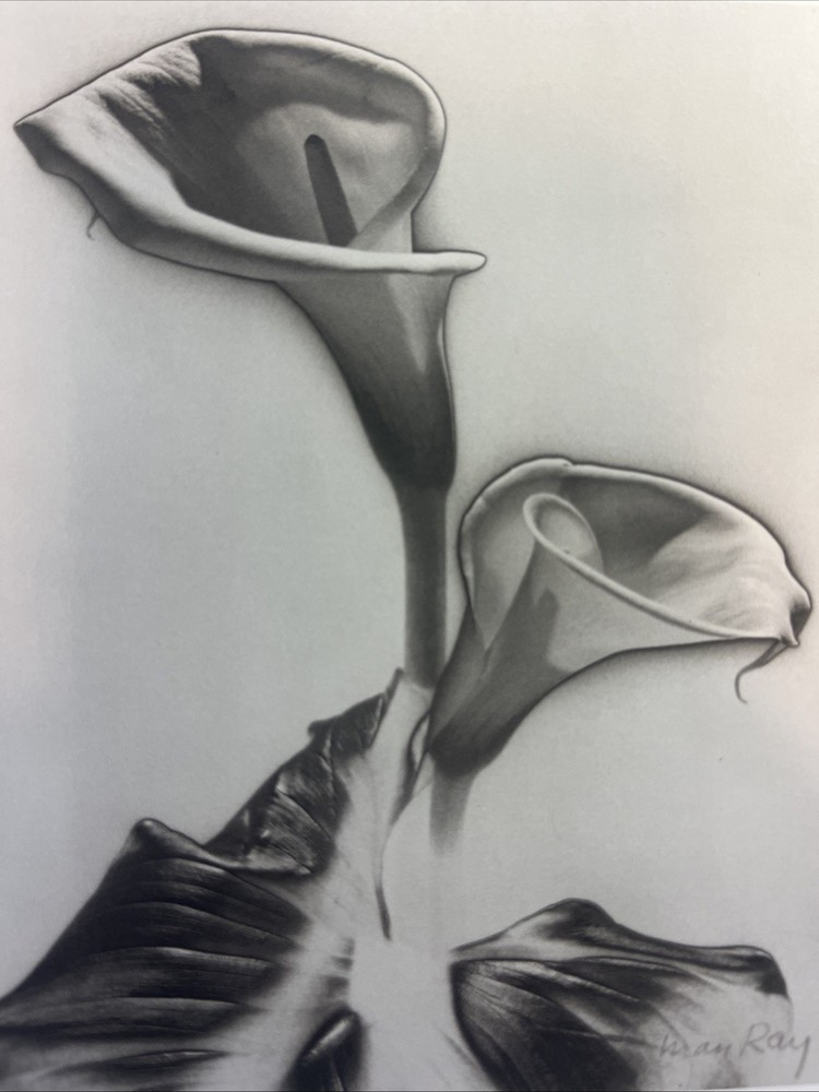 MAN RAY PHOTO B&W PRINT “CALLA LILIES, 1930” “Apple” Dada Abstract Art Genius