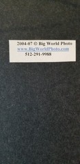 “Lily” Digital numbered photo copy by Lorri Honeycutt.