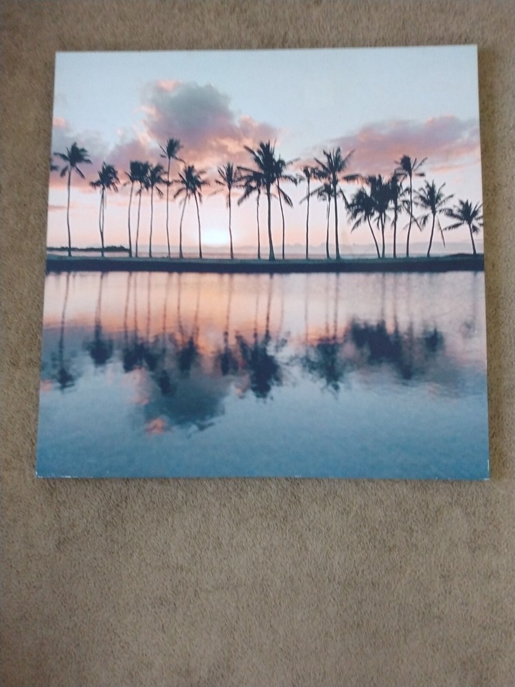 canvas palm tree 30 in x 30 in pink black orange green light blue dark blue🌊