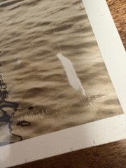Original Morris Rosenfeld Sailboat photography, Set of 2, 8″ x 10″ Stamped