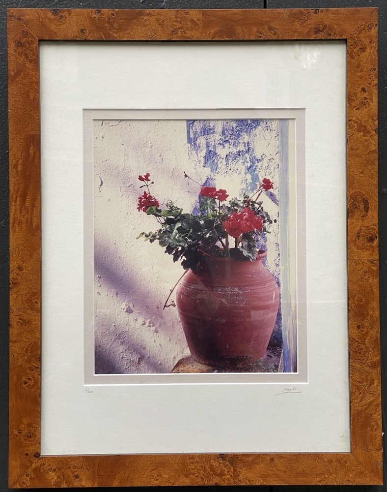 Signed Limited Edition Photograph Portuguese Flower Pot Portugal 2/250 Framed