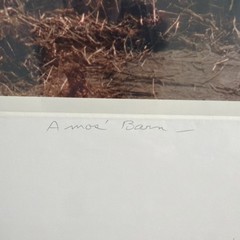 Vintage Bill Coleman Signed Numbered Matted No 576 27/400 Amos’ Barn Photograph