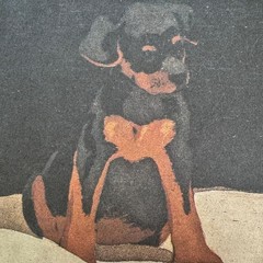 Rottweiler Puppy Dog Art Photo Poster Print Rottie Wall Art Home Decor 19×13″