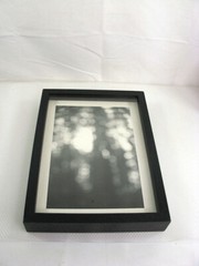 California Redwoods Triptic B&W Original Handmade Art Photographs Framed