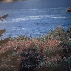 Intercraft Framed Color Photograph Glossy Lighthouse Coastline Nautical Decor