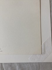 MICHAEL KENNA Signed GREENHOUSE Toned Gelatin Silver Print LIMITED EDITION 1979
