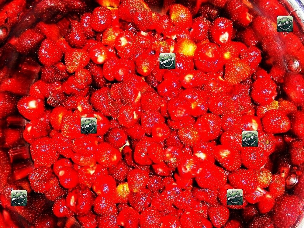Digital Photo Wallpaper Image Picture , Background Fruits Strawberries health+