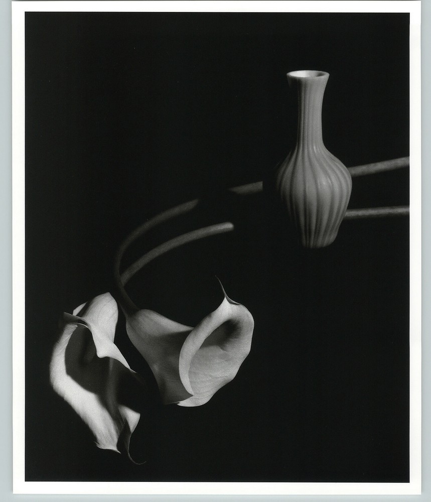 1989 1992 Callas Lilies & Bud Vase Large Art Photo By Horst 16X20