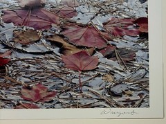 Original JOHN WAWRZONEK ‘Leaves on Water’ AUTUMN RED Landscape Signed PHOTOGRAPH