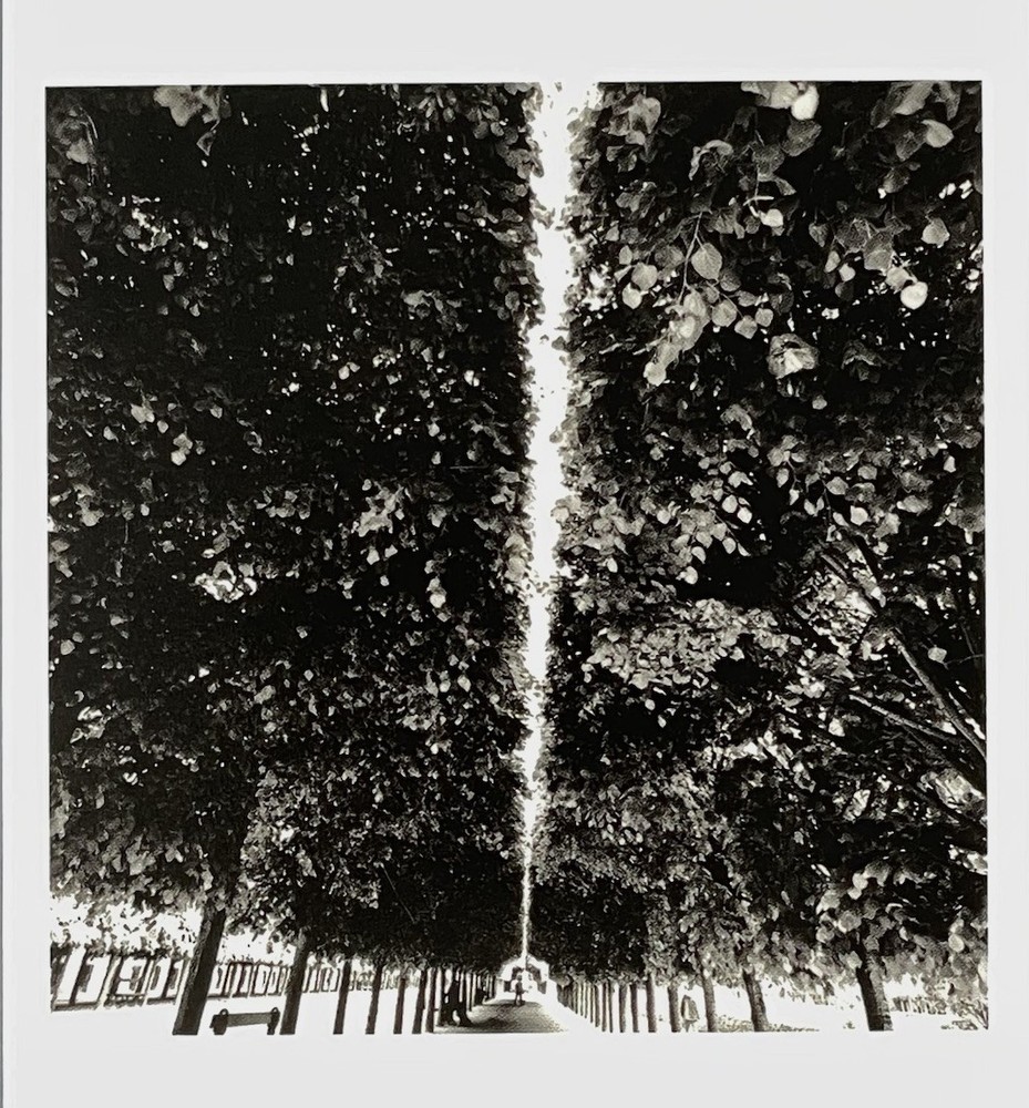 Bruce Davidson (b. 1933) Magnum Art Photo Print Card 4×6” Palais-Royal Garden