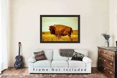 Bison Photography Print: Oklahoma Buffalo Tallgrass Prairie Western Photo