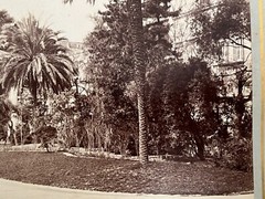 2 Album Photo by Giacomo Brogi circa 1870 Naples Napoli Italy 25x19cm (21+22)