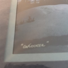 Onlooker Todd Salat Alaska Aurora Borealis Landscape Signed Photograph Color