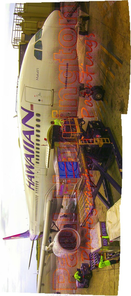 Hawaii Honolulu Airport Airplane Makali’i Airbus 300