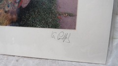 MATTED PHOTO OF PEACOCKS AT NORMAN KEEP CASTLE IN WALES SIGNED 4.75″ x 6.75″