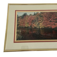 Art Photography Photo Autumn Picture Lake Matted Framed Fall Leaves