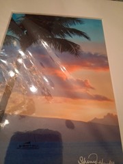 Palm Tree At Dusk Photo Matted Unframed Signed Sherry Hunter New