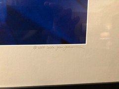 Art Photography Macro Large Digital Format Linda Jane Limited Mat/Framed Stellar