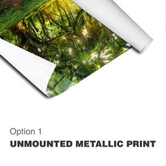Original Limited Edition Acrylic Mounted Metallic Fine Art Photograph