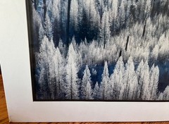 Carl R Sams – Limited Edition – Signed/Numbered – Winter Forest Landscape