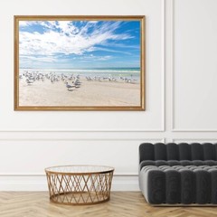 Birds on the Beach Photo, Siesta Key Photography Wall Art Beach House, Wildlife