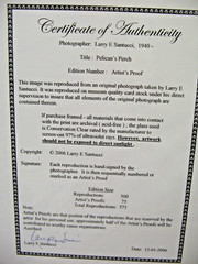 ART PHOTOGRAPHY 16×20 Pelican Perch B&W A/P Matte Acid Free by Larry Santucci