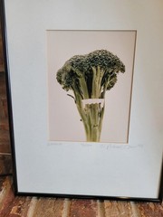 Michael Craven Fine Photography “Broccula” 1994 Signed Framed 70/300 Print 1998