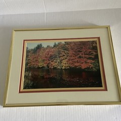Art Photography Photo Autumn Picture Lake Matted Framed Fall Leaves