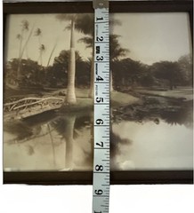 Moanalua Hawaiian islands Tinted Photo Nicely Framed Hawaii Palm trees
