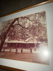 RARE Photographer Alexandre Nodopaka Woodside CA Signed And Numbered Store Tree