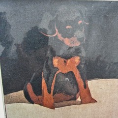 Rottweiler Puppy Dog Art Photo Poster Print Rottie Wall Art Home Decor 19×13″