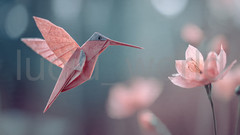 Origami Hummingbird Flower Digital Image Download Pink Paper Art Wallpaper PNG