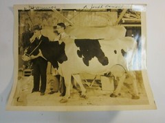 Bargain Bin Photos Antique Vintage Poor to Good Auction Find 1880 1920