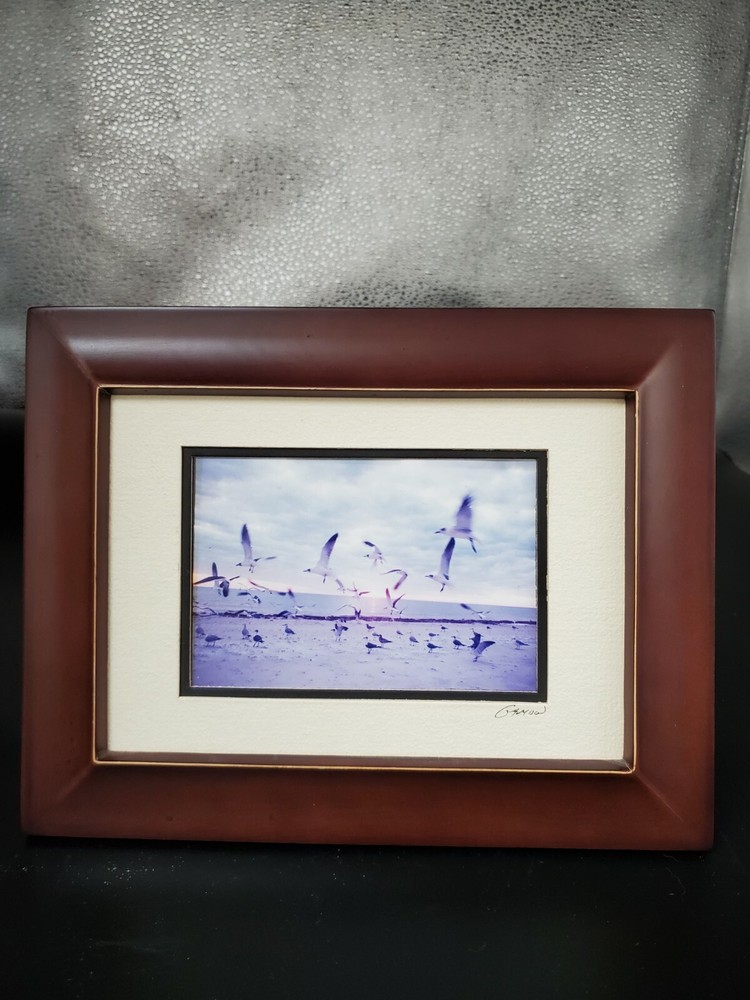 Barry Gamow Framed Double Matted Signed Photograph Sea Gulls Beach Seashore