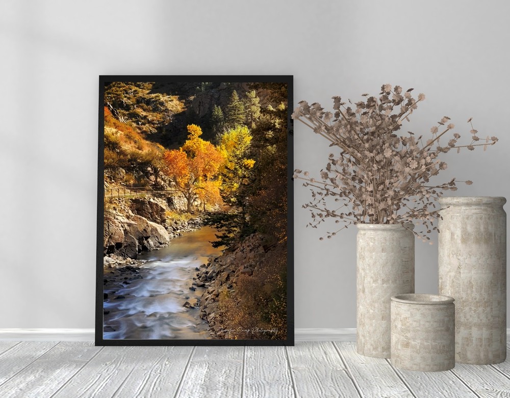 Golden Colorado Autumn Fall Aspen Trees Landscape Photography Print