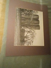8×10 Black & White 35 mm Film Printed With 11×14 Matt Hand Made In Darkroom