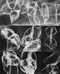 Unique Stitched Print – Cameraless Dark Room Photography 24 x 40 Inches