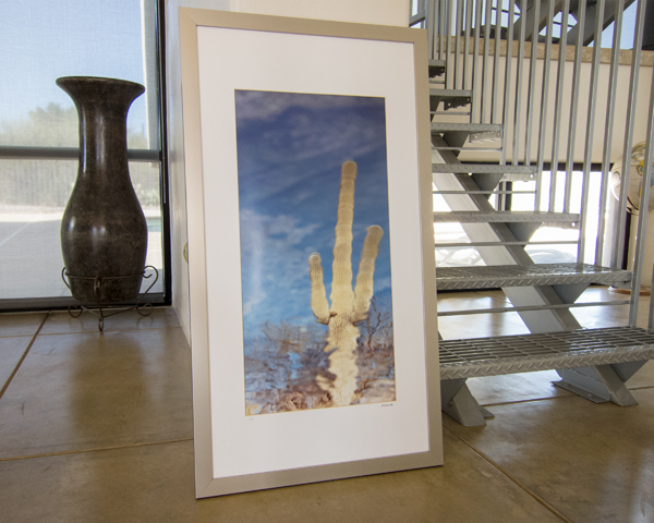 Framed Photography Print of Abstract Arizona Desert Saguaro Cactus in Reflection