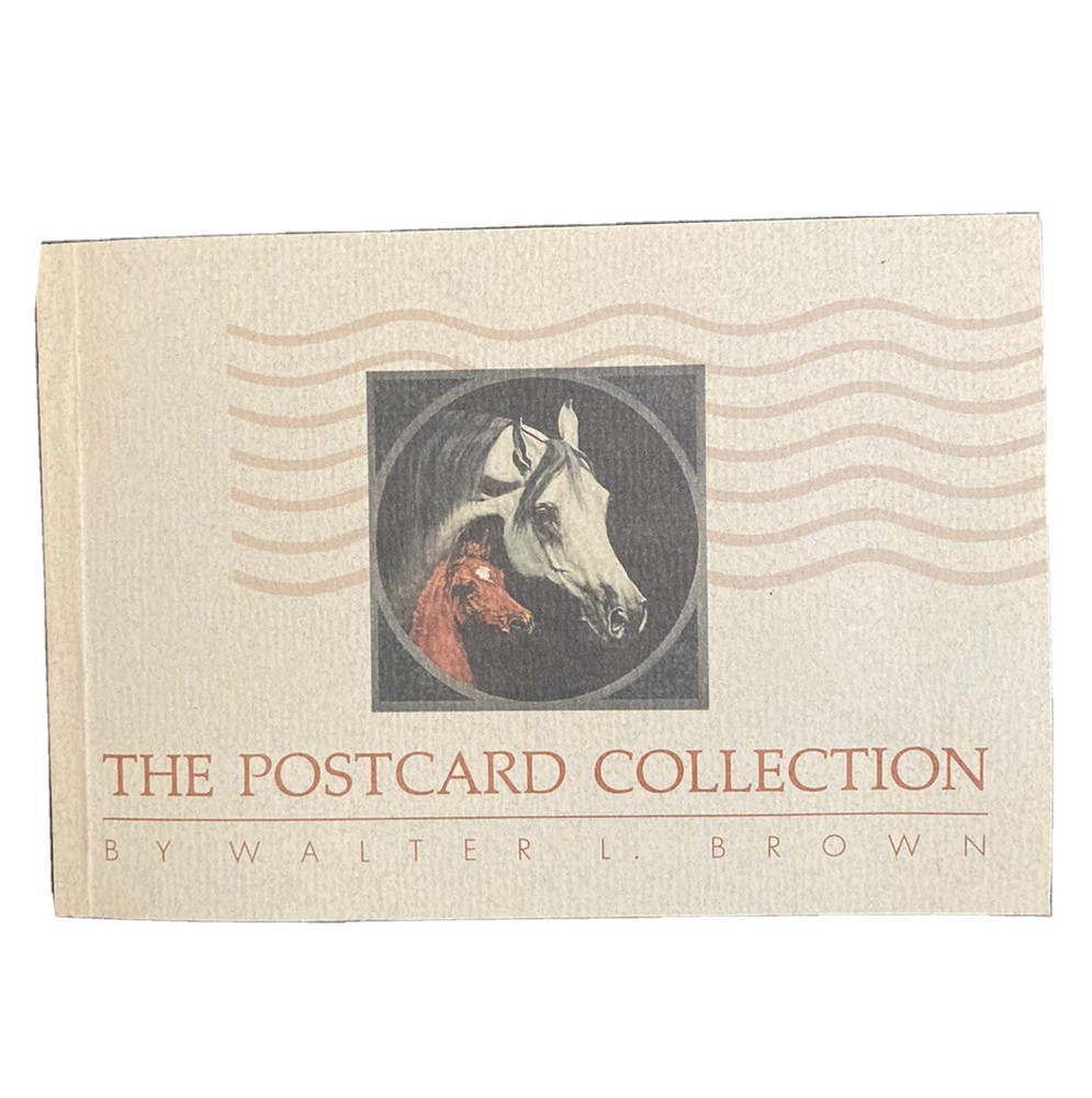 Equine Postcard Collection Set Walter L Brown Horses Animals 5 X 7