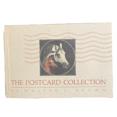 Equine Postcard Collection Set Walter L Brown Horses Animals 5 X 7